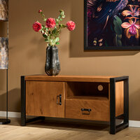 Fernsehenschrank New York 110