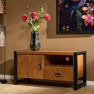 Fernsehenschrank New York 110